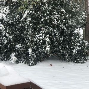 Meet your Posher, Johanna